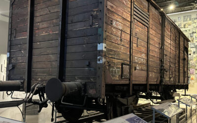 Teaching the Holocaust – Beyond History